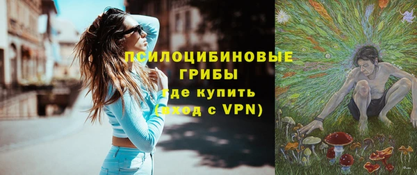 шишки Кинешма