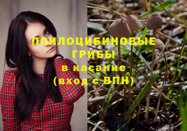 ALPHA-PVP Киреевск