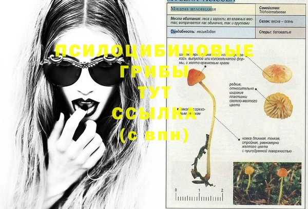 шишки Кинешма