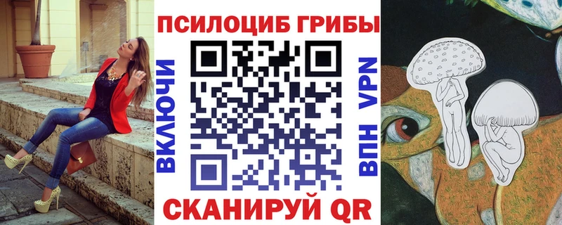 Купить  Черкесск  Псилоцибиновые грибы мицелий 